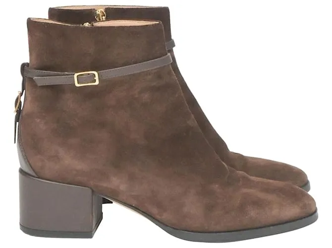 Stivaletti con tacco basso Sergio Rossi in suede marrone