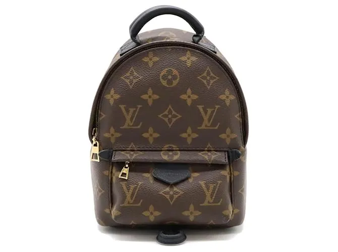 Zaino Mini Palm Springs Monogram Louis Vuitton Marrone Nero