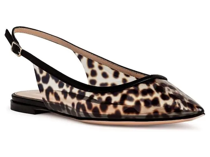 GIANVITO ROSSI Jen Ballerine a punta in PVC con stampa leopardata Stampa leopardo