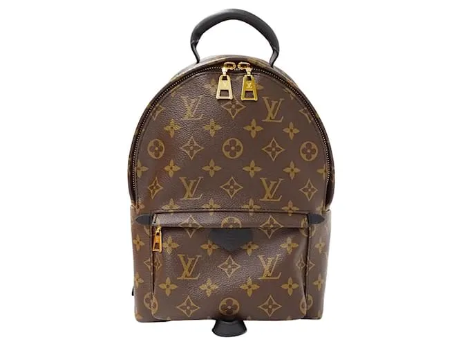 Zaino Palm Springs PM in tela Monogram Louis Vuitton Marrone